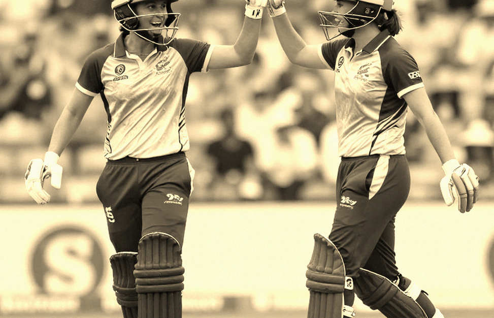 The Blank Page That Almost Ran as Analysis: Cricket's Data-Verification Gap
