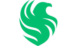 टीम फाल्कन्स